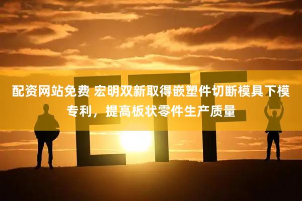 配资网站免费 宏明双新取得嵌塑件切断模具下模专利，提高板状零件生产质量