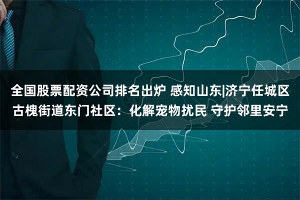 全国股票配资公司排名出炉 感知山东|济宁任城区古槐街道东门社区:化解宠物扰民 守护邻里安宁
