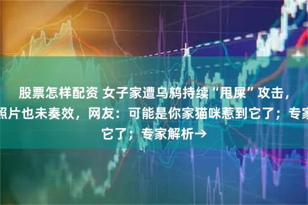 股票怎样配资 女子家遭乌鸫持续“甩屎”攻击，贴老鹰照片也未奏效，网友：可能是你家猫咪惹到它了；专家解析→