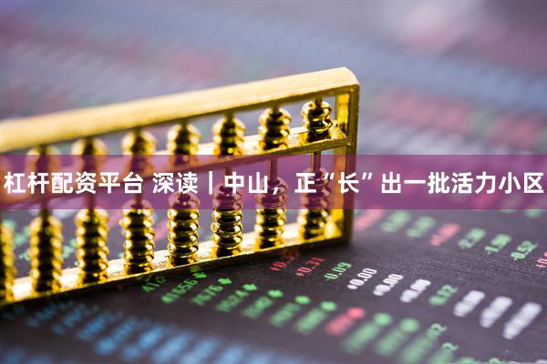 杠杆配资平台 深读｜中山，正“长”出一批活力小区